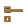 EPT -9-